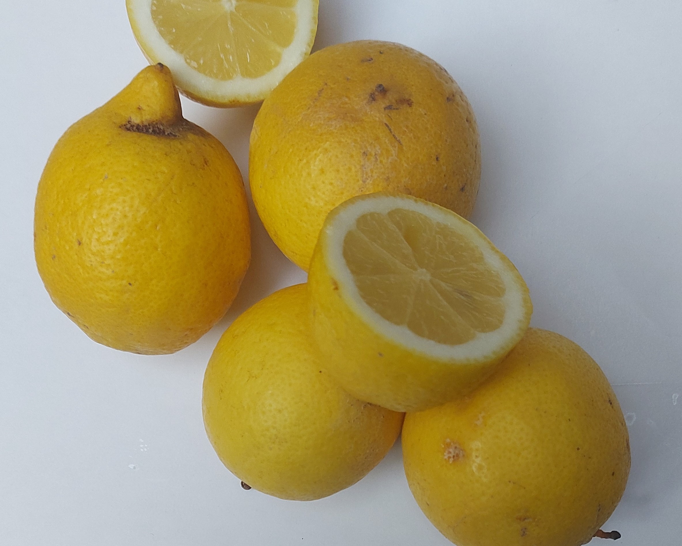 Limoni